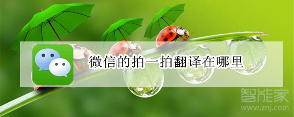 微信的拍一拍翻译在哪里