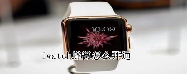 iwatch蜂窝怎么开通