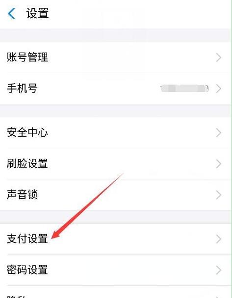 华为畅享9s怎么关闭免密支付
