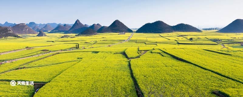 岩溶地貌的成因 岩溶地貌怎么形成