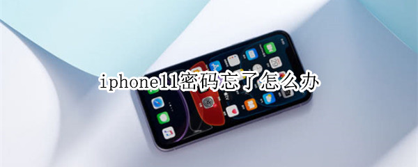 iphone11密码忘了怎么办