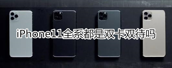 苹果11系列全是双卡双待吗