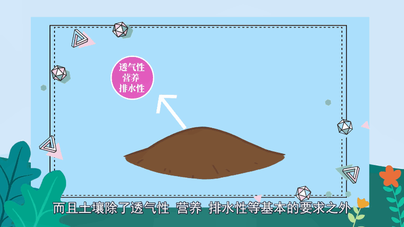 金鱼吊兰的养殖方法和注意事项 金鱼吊兰的养殖方法和注意事项有哪些