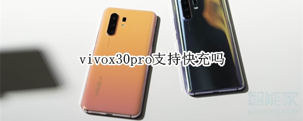 vivox30pro支持快充吗