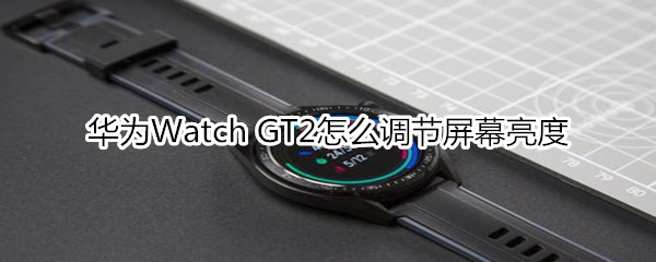 华为Watch GT2怎么调节屏幕亮度