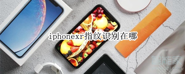 iphonexr指纹识别在哪