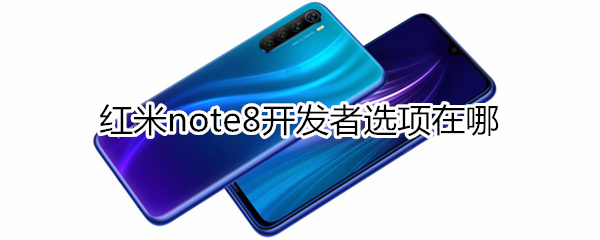 红米note8开发者选项在哪