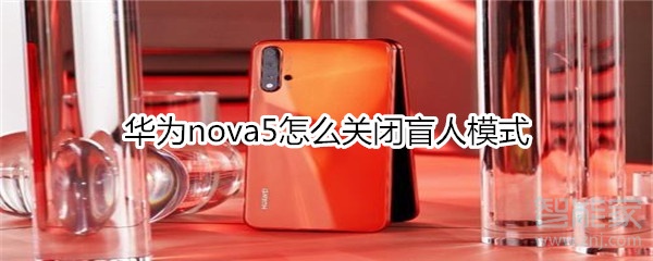 华为nova5怎么关闭盲人模式