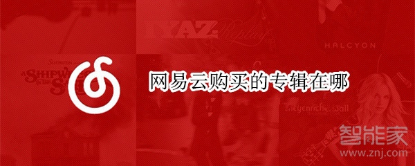 网易云购买的专辑在哪