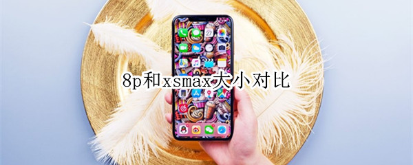 8p和xsmax大小对比