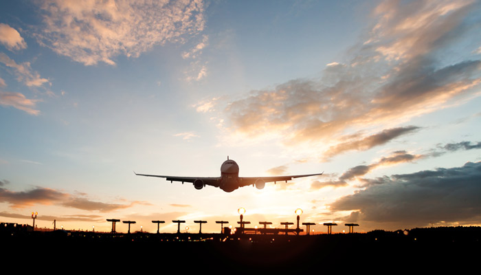 《蝙蝠和雷达》课文主要写了什么 蝙蝠和雷达的主要内容