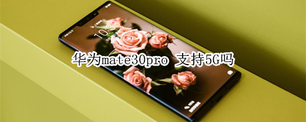 华为mate30pro 支持5G吗