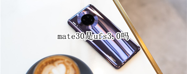 mate30是ufs3.0吗