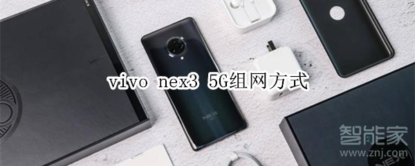 vivo nex3 5G组网方式