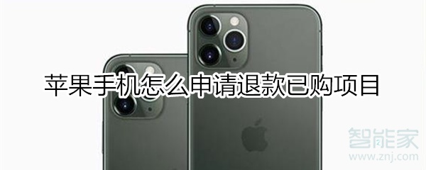 苹果手机怎么申请退款已购项目