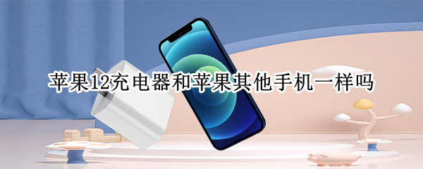 苹果12充电器和苹果其他手机一样吗