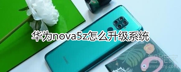 华为nova5z怎么升级系统