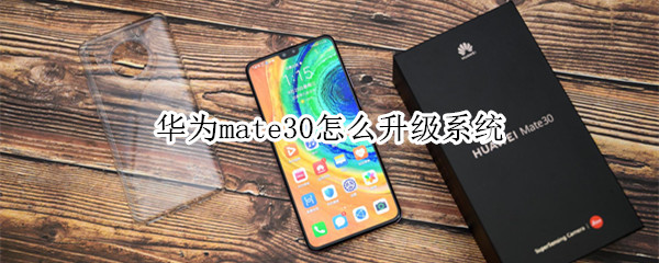 华为mate30怎么升级系统