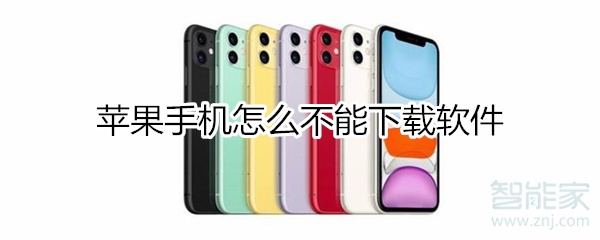 苹果手机怎么不能下载软件