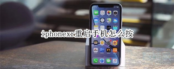 iphonexr重启手机怎么按