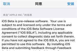 ios12.1beta2怎么升级