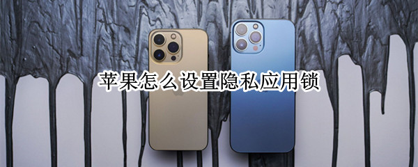苹果怎么设置隐私应用锁(苹果11怎么设置隐私应用锁)