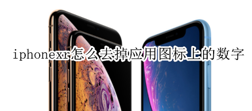 iphonexr怎么去掉应用图标上的数字