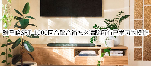 雅马哈SRT-1000回音壁电视音箱怎么清除所有已学习的操作