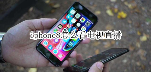 iphone8怎么看电视直播