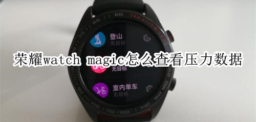 荣耀watch magic怎么查看压力数据