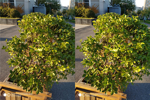 黑鲨游戏手机Helo拍照像素怎么样