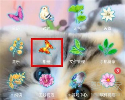 oppo r15怎么查看私密照片