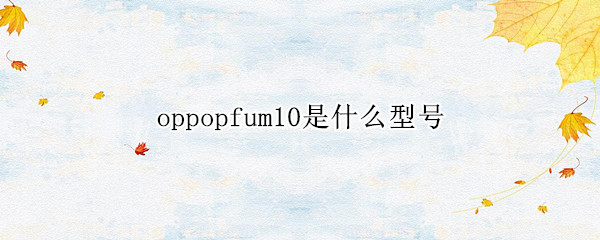 oppopfum10是什么型号（oppopfum10是什么型号多少钱?）