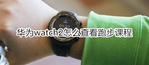 华为watch2怎么查看跑步课程