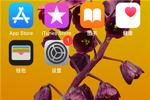 iphone设置上的1怎么去掉