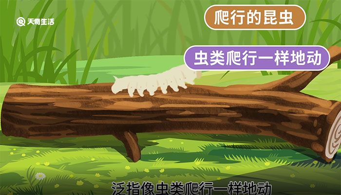 蠕动的意思 蠕动的解释