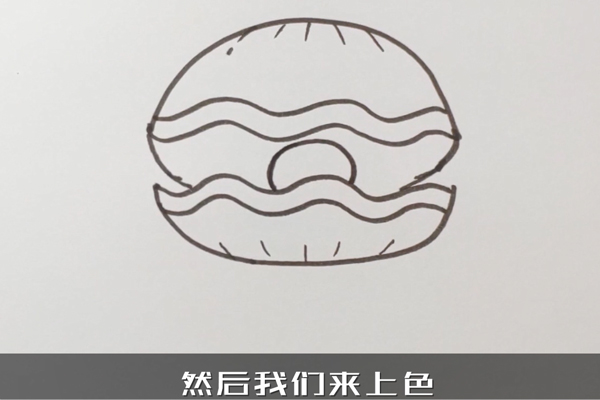 贝壳简笔画