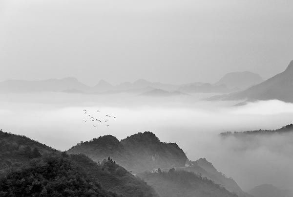 国破山河在这一诗句的历史背景是 国破山河在出自哪个历史背景