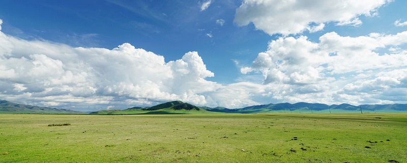 敕勒歌抒发了人们什么的情感 敕勒歌抒发了作者什么的情感