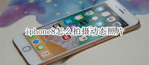iphone8怎么拍摄动态照片