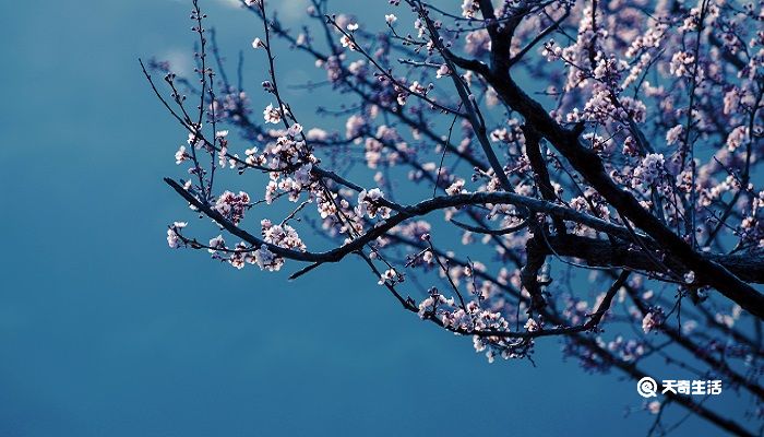 已是黄昏独自愁,更着风和雨的着的意思 已是黄昏独自愁什么意思