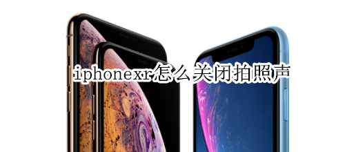 iphonexr怎么关闭拍照声