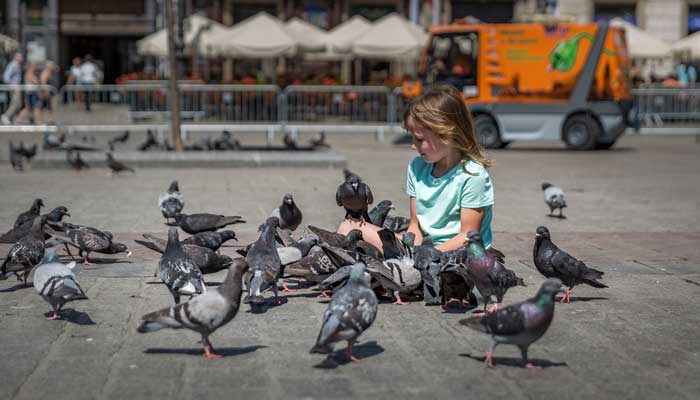 鸿雁传书源于哪个历史故事 鸿雁传书源自于哪个历史典故
