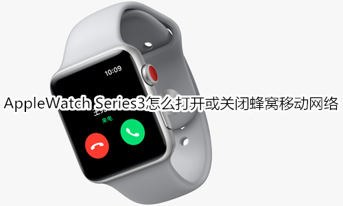 Apple Watch Series 3怎么打开或关闭蜂窝移动网络