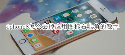 iphone8怎么去掉应用图标右上角的数字