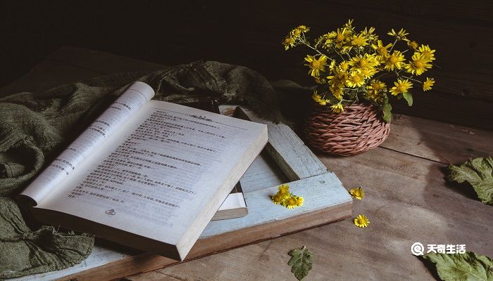 是亦不可以已乎的已是什么意思 是亦不可以已乎是什么意思