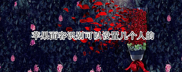苹果面容识别可以设置几个人的 iphone面容识别可以设置几个人