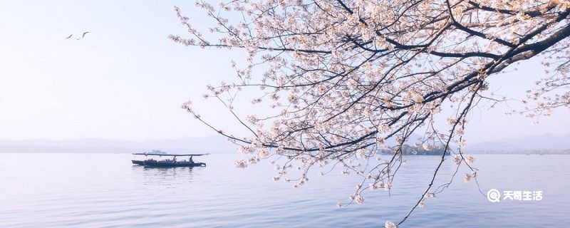 晴方好山色空蒙雨亦奇的意思是什么 水光晴方好山色空蒙雨亦奇的意思