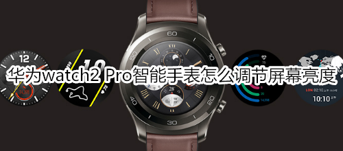 华为watch2 Pro智能手表怎么调节屏幕亮度