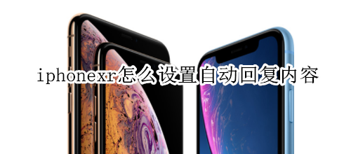 iphonexr怎么设置自动回复内容